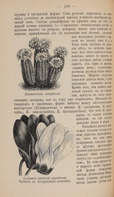 Ределин М. Дом и хозяйство: Руководство к рациональному ведению домашнего хозяйства в городе и в деревне. СПб., 1897.